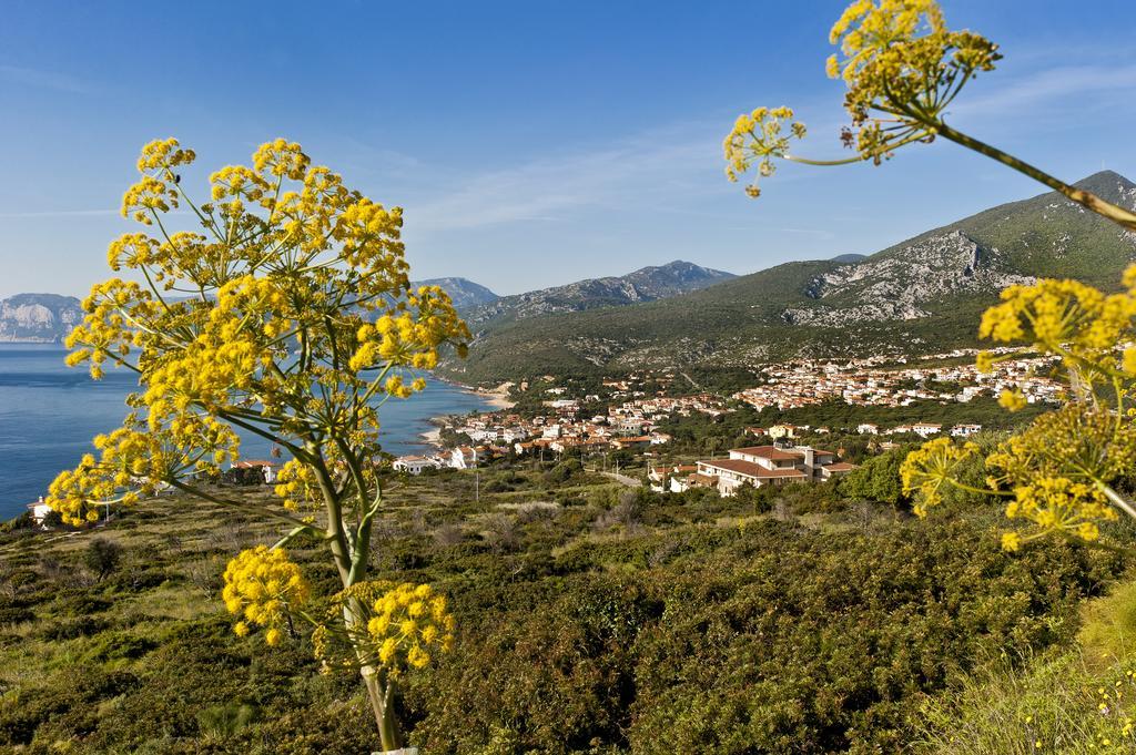 Hotel Brancamaria Cala Gonone Εξωτερικό φωτογραφία